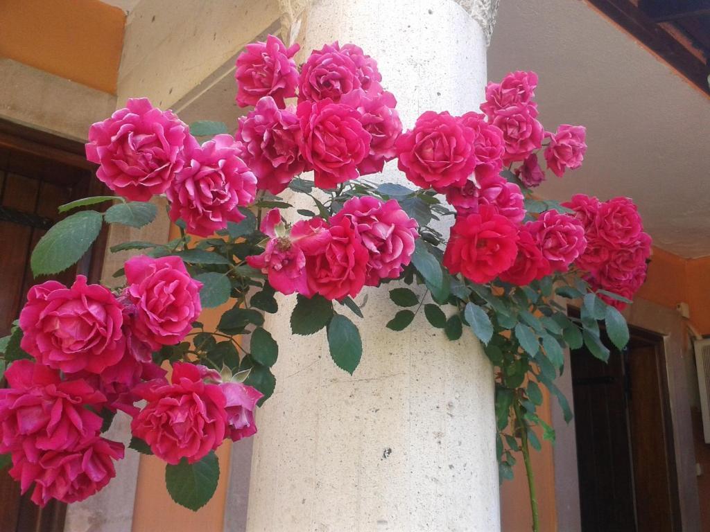 Akropolis Guest House Bergama Exterior foto